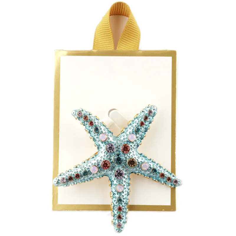 STARFISH BROOCH ( 0217 TQS ) made by Oh My Jewelry