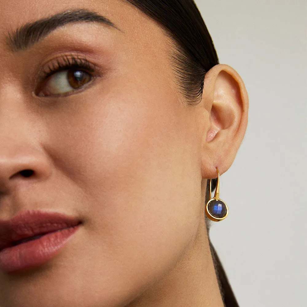 Ipanema Droplet Earrings sold by Dean Davidson product image thumbnail 2