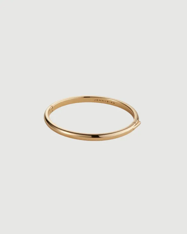 Remi Bangle made by JENNY BIRD