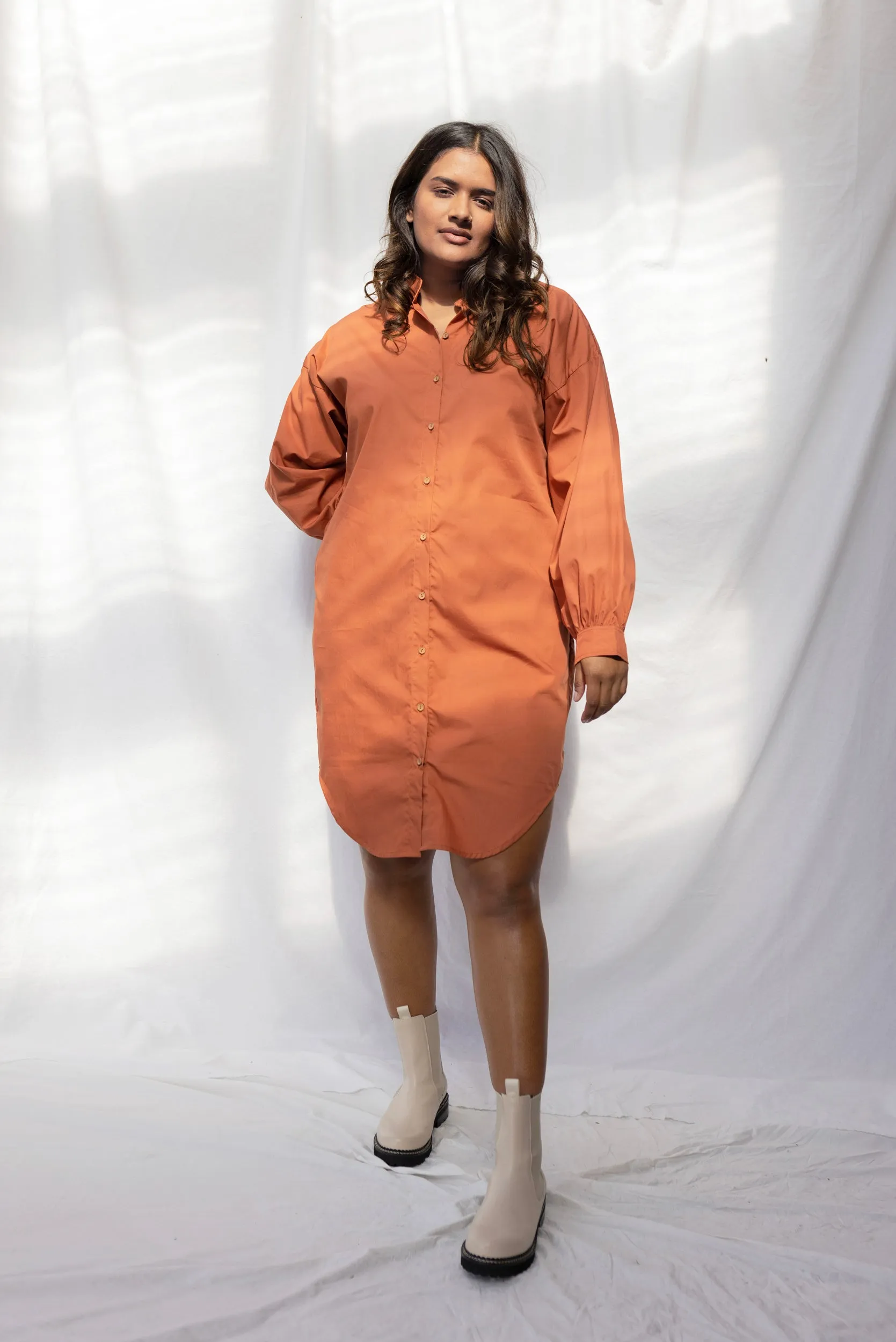Paradox Dress | Burnt Sienna sold by ReCreate product image thumbnail 2
