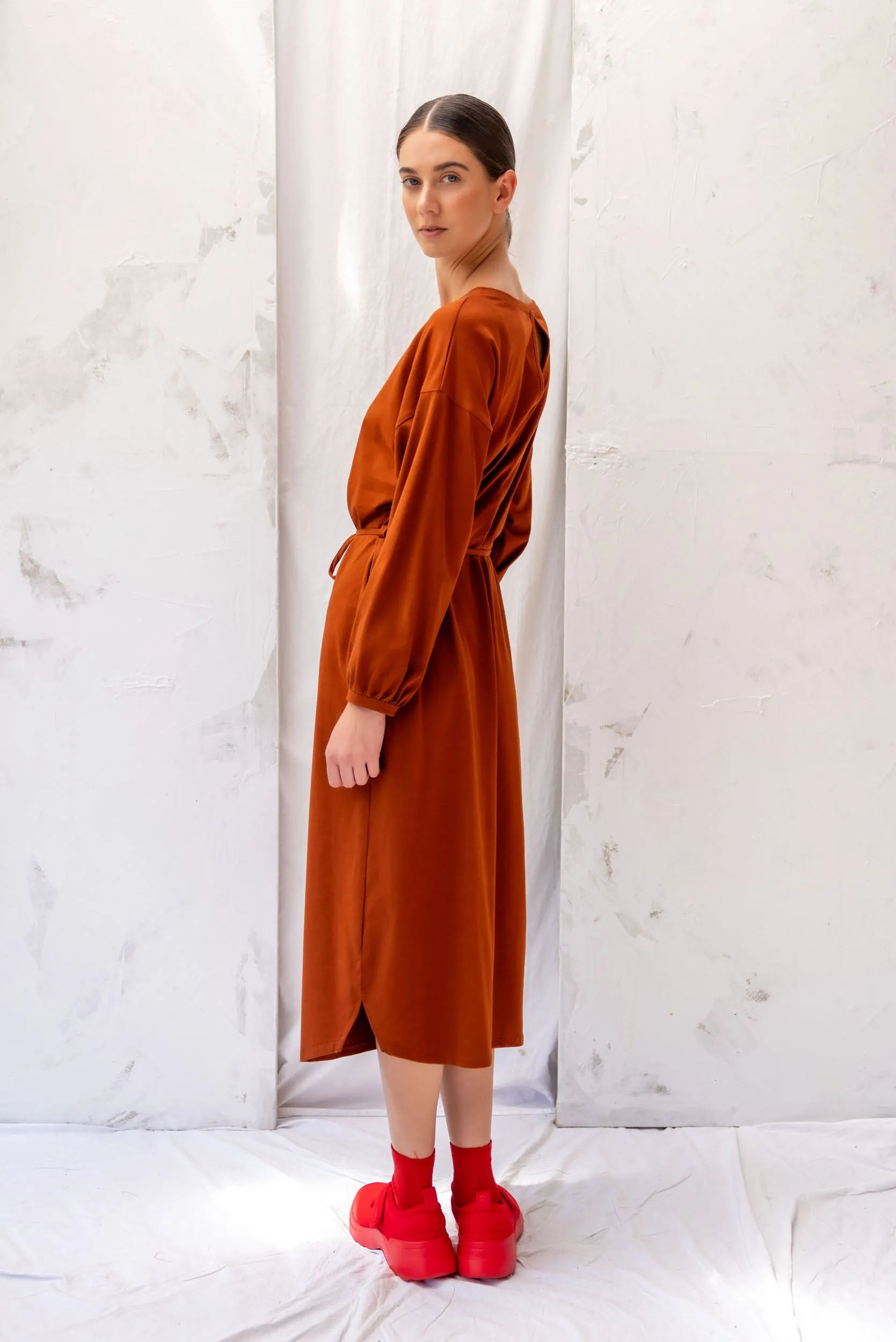 Ahead Dress | Chestnut sold by ReCreate product image thumbnail 3