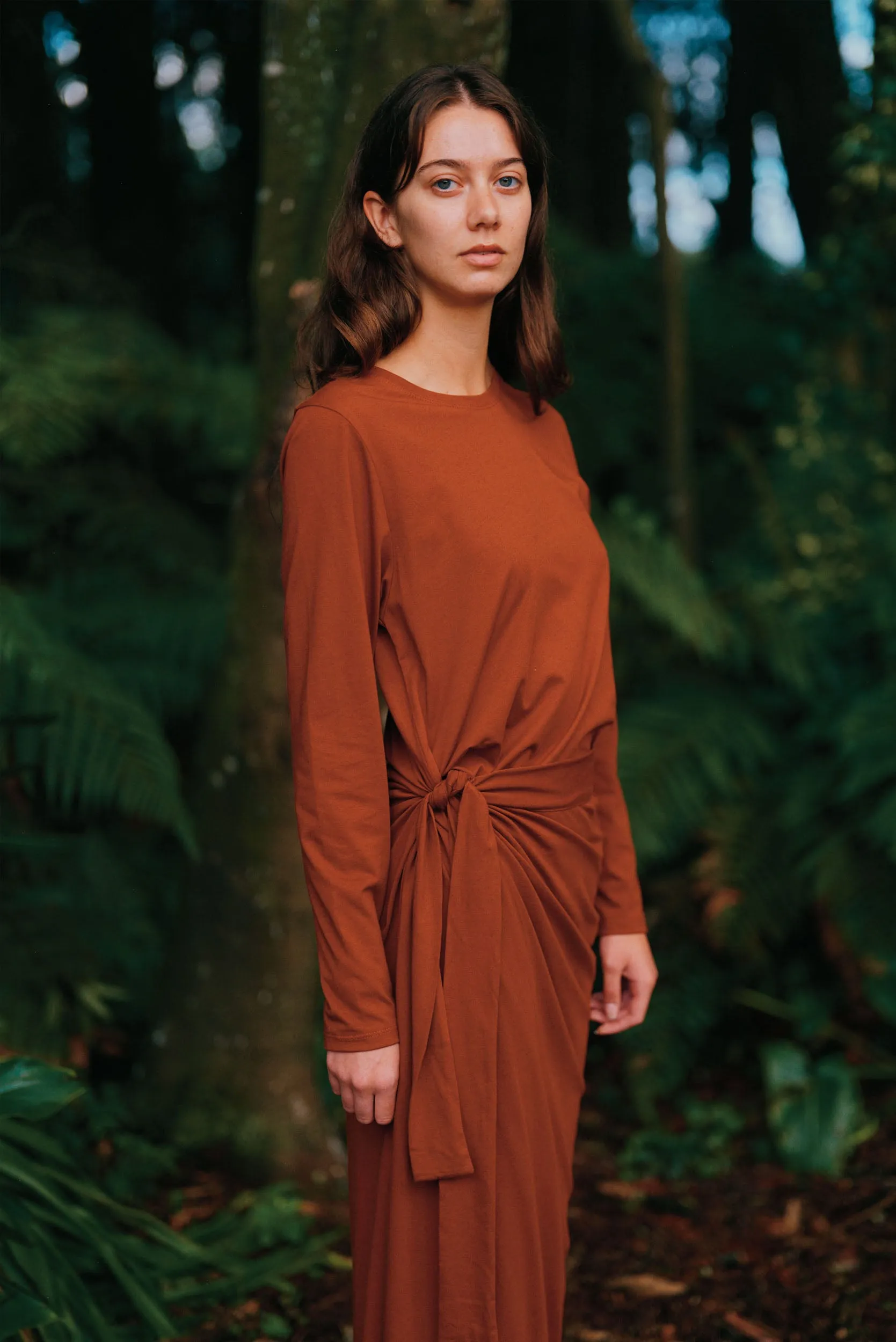 Inclination Dress | Chestnut sold by ReCreate product image thumbnail 2