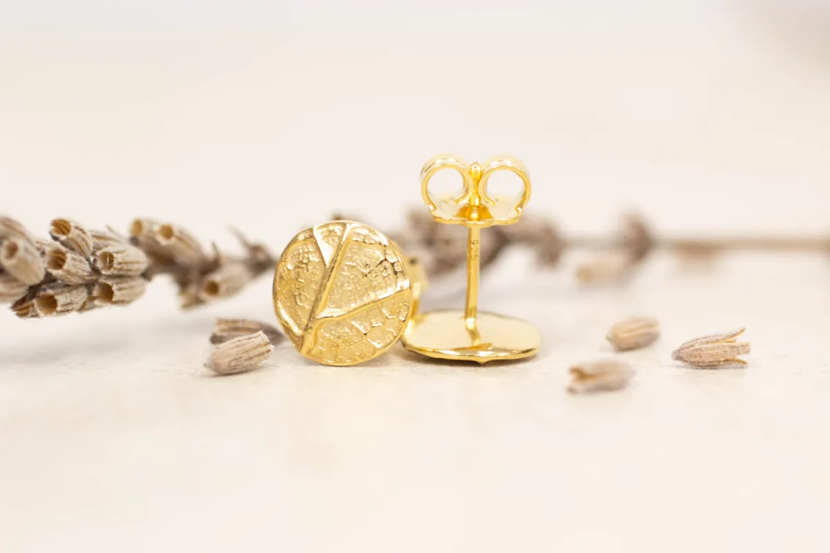 Vena Studs - Gold Plated sold by Sophie Divett Jewelry