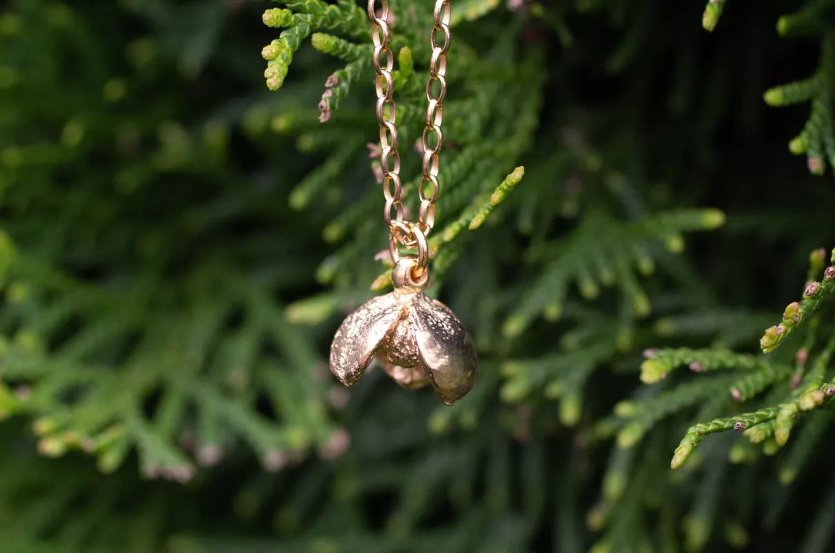 Pittosporum Seed Pod Necklace - Gold Plated sold by Sophie Divett Jewelry