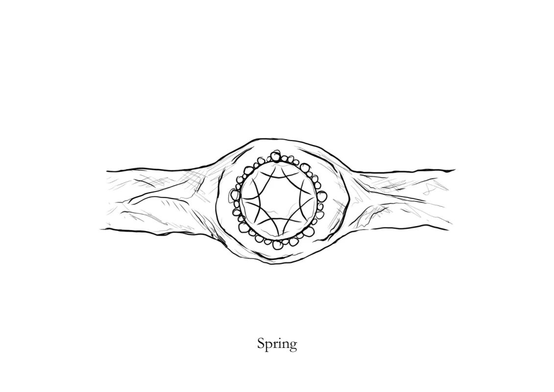 Spring Ring - Build Your Own sold by Sophie Divett Jewelry