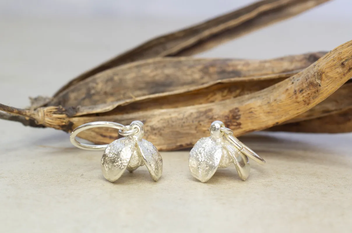 Pittosporum Seed Pod Earrings - Sterling Silver sold by Sophie Divett Jewelry