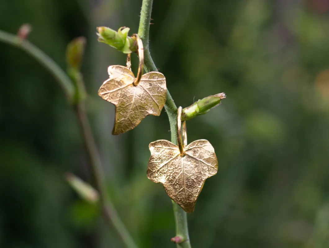 Ivy Leaf Hoop Earrings - Gold Plated sold by Sophie Divett Jewelry