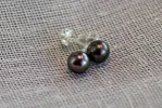 Pearl Studs - Black - 6-6.5mm sold by Sophie Divett Jewelry