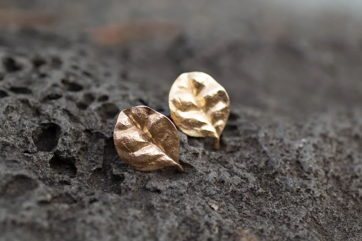 Ramarama Leaf Stud Earrings  - 9ct Yellow Gold sold by Sophie Divett Jewelry