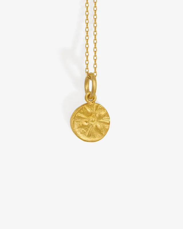 Macedon Coin Necklace Solid Gold made by Heritage