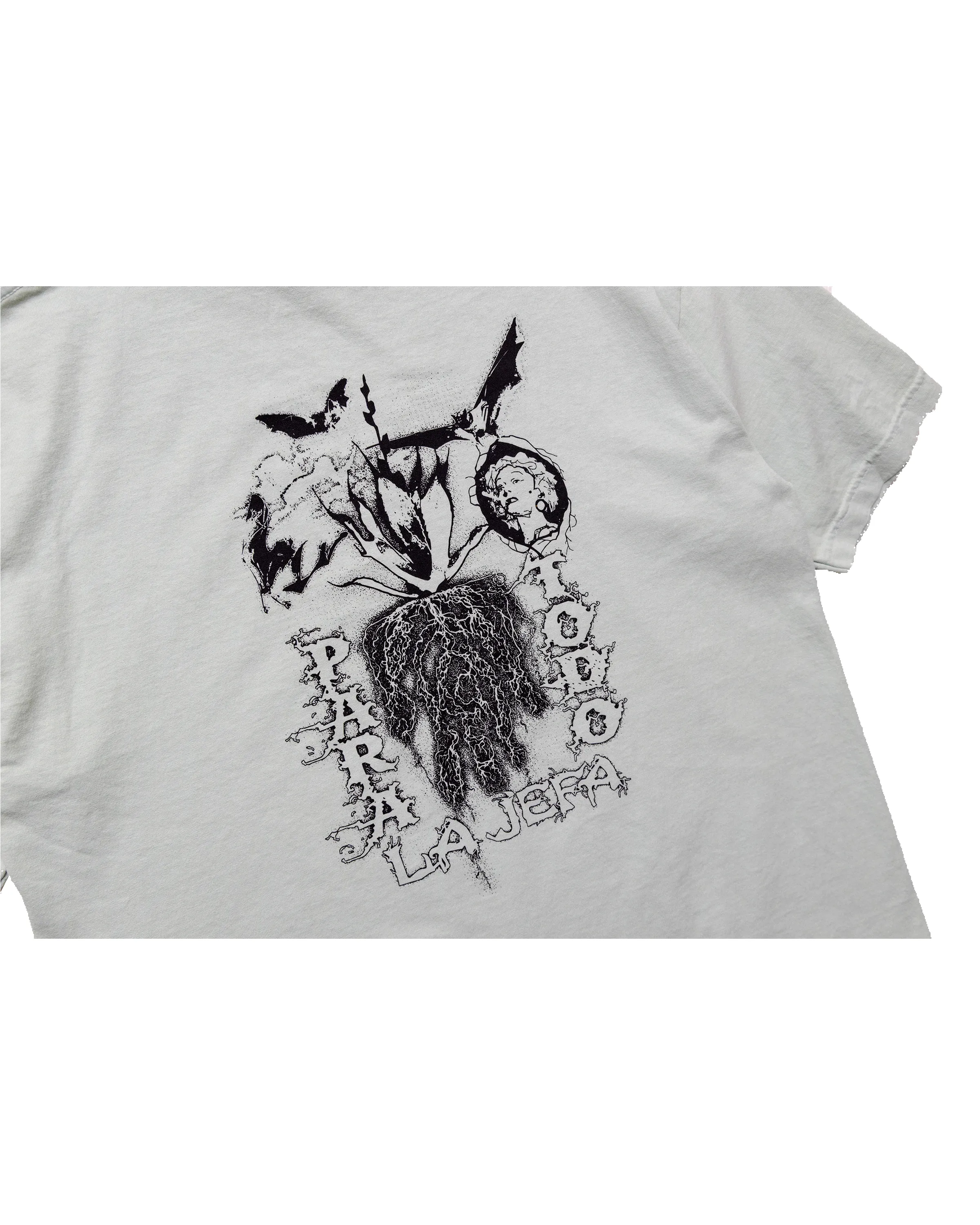 Paratodo x La Jefa Deep Roots T-Shirt: Mint sold by Paratodo Co product image thumbnail 5