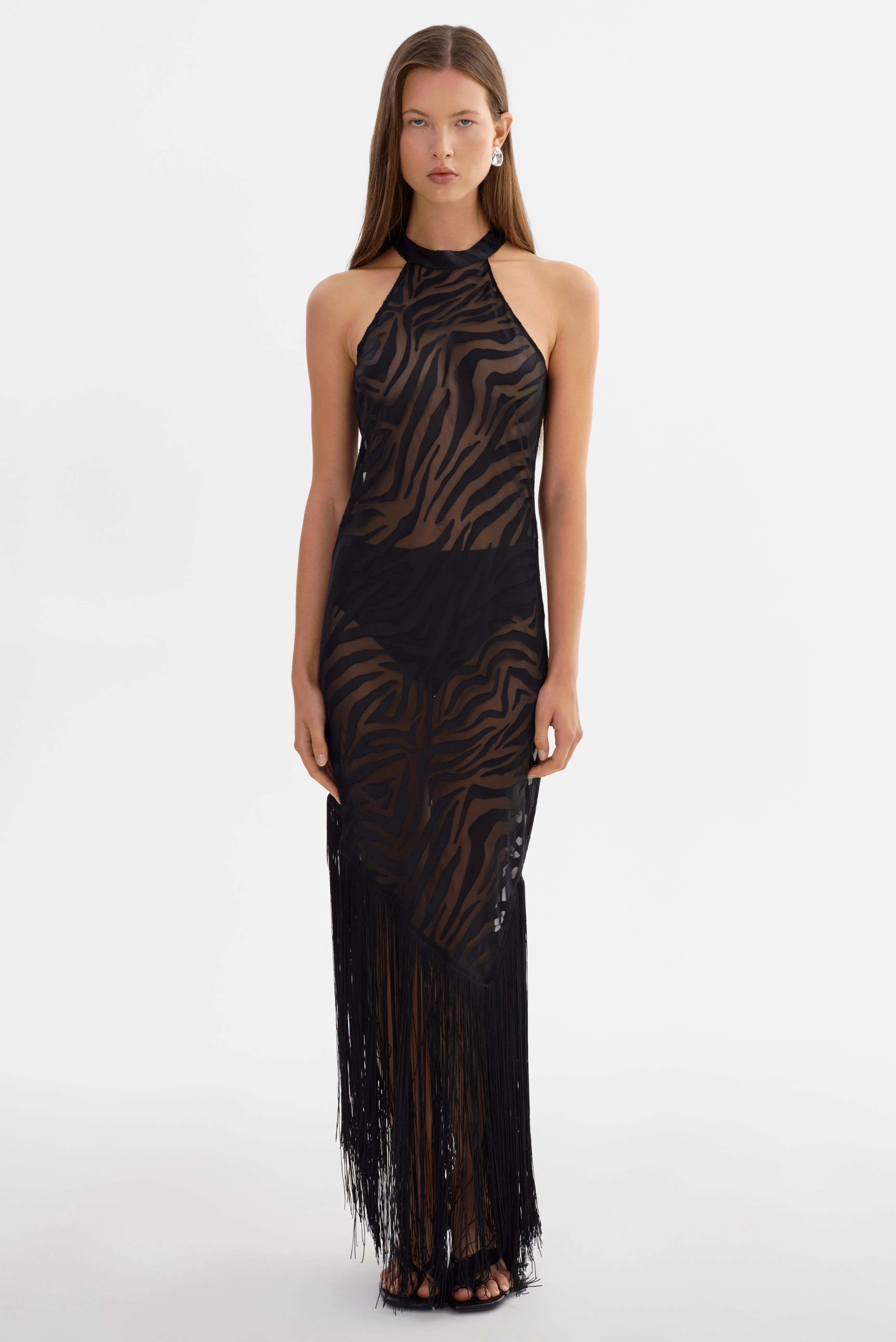 JENNINE | Sheer Zebra Dress sold by LAMARQUE product image thumbnail 5