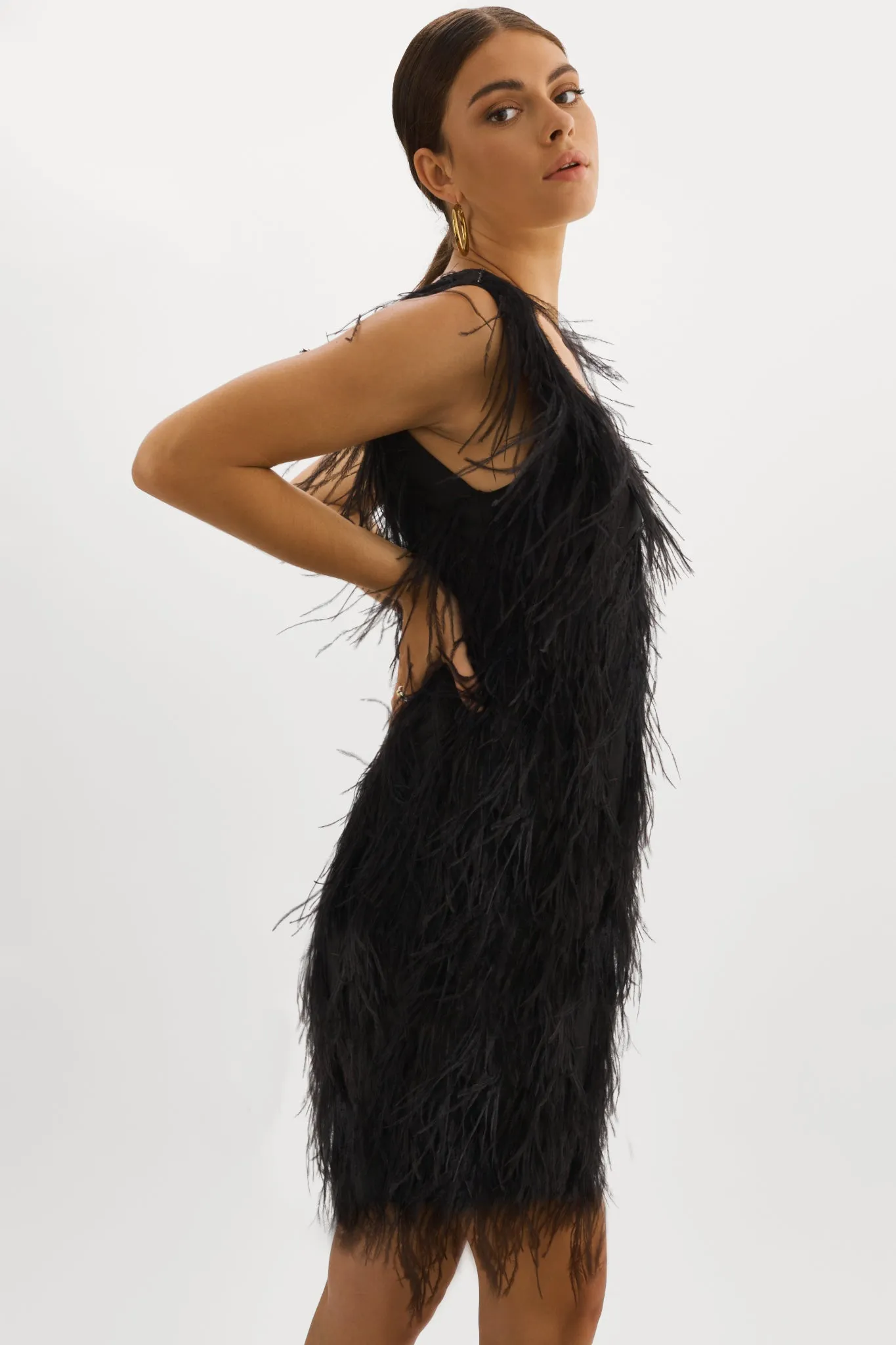 ALENA | Feather Dress sold by La Marque product image thumbnail 3