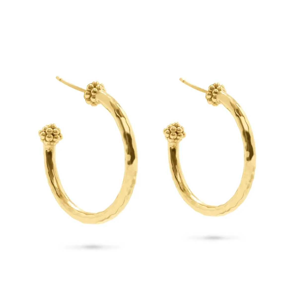 Berry Slice Medium Hoop Earrings - Gold sold by Capucine De Wulf