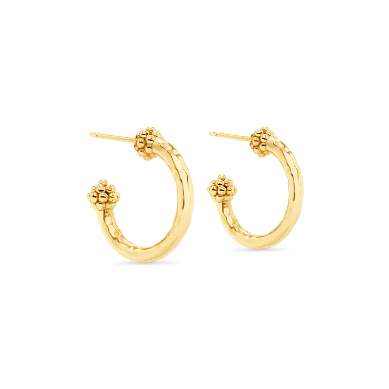 Berry Slice Small Hoop Earrings - Gold sold by Capucine De Wulf