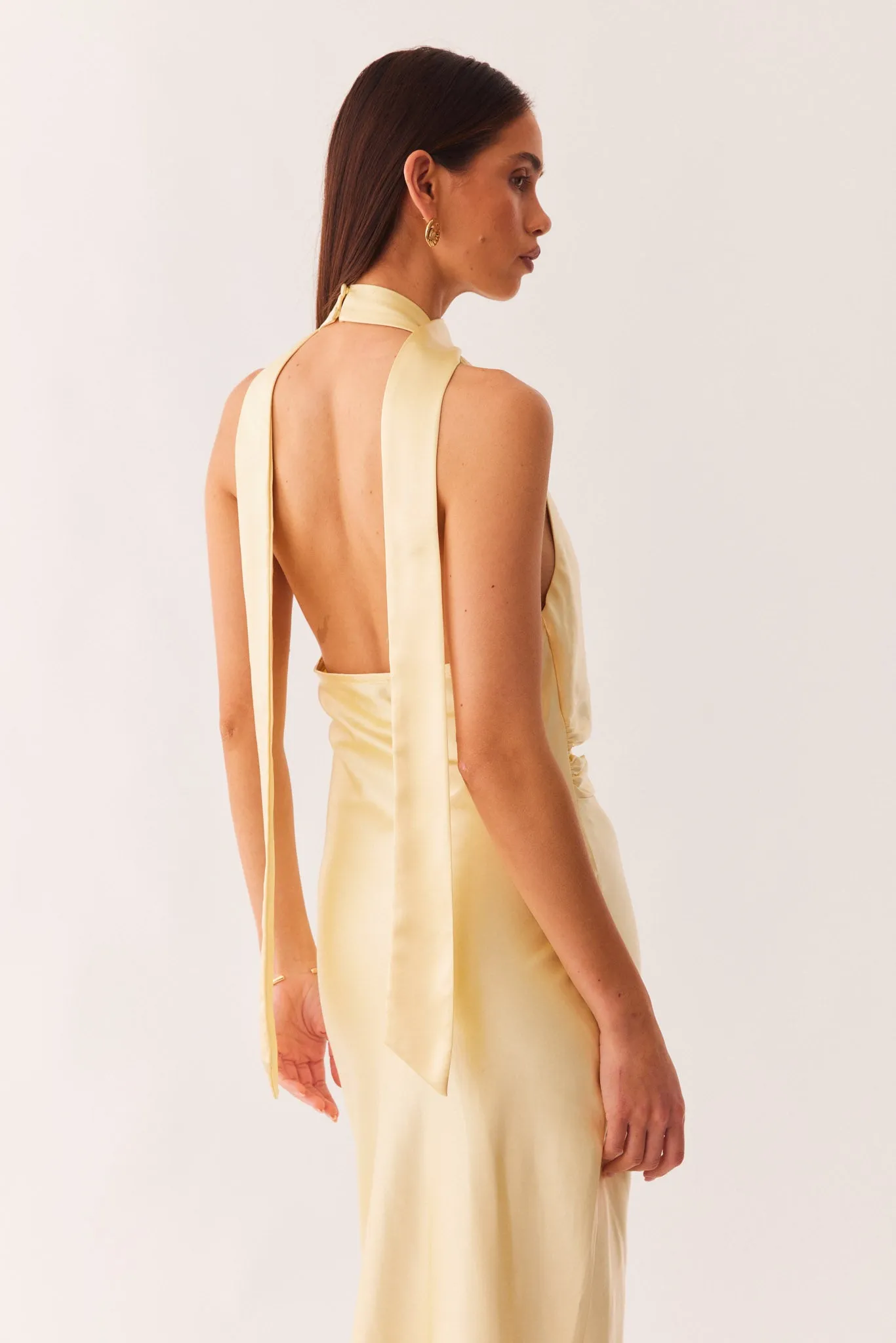 ROSANNA MAXI DRESS sold by Sndys product image thumbnail 5