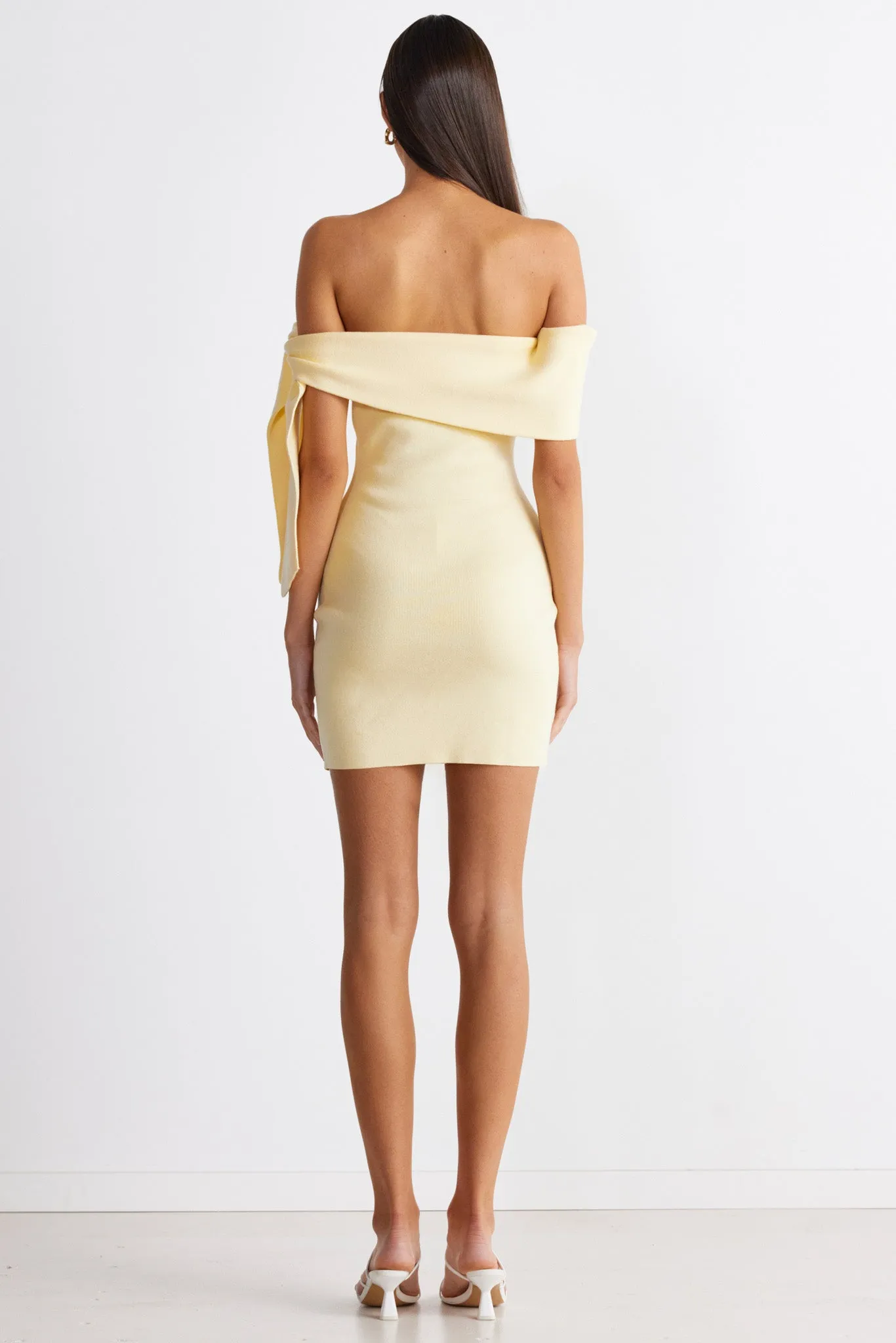 JAYMES MINI DRESS sold by Sndys product image thumbnail 3