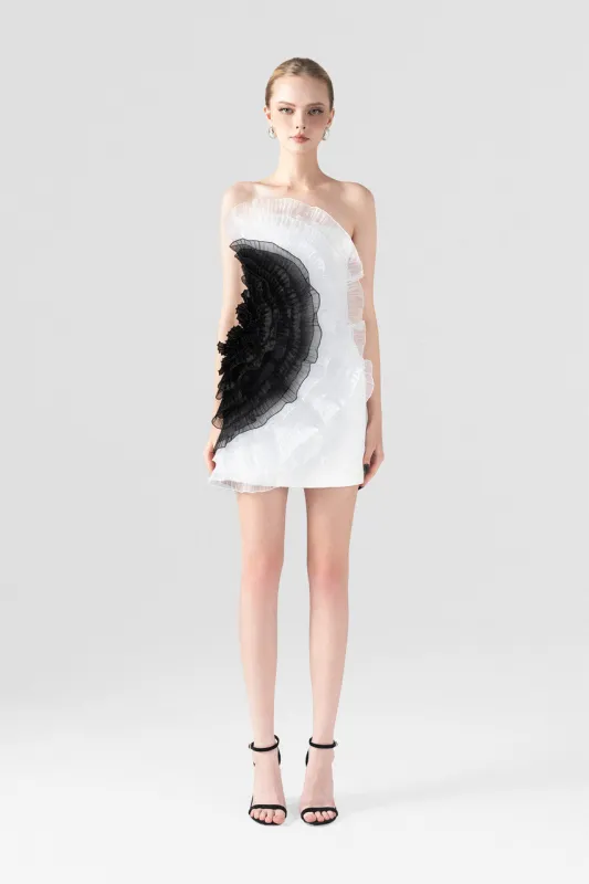 Futuristic Artistic Black & White Ruffle Mini Dress sold by Kalisa