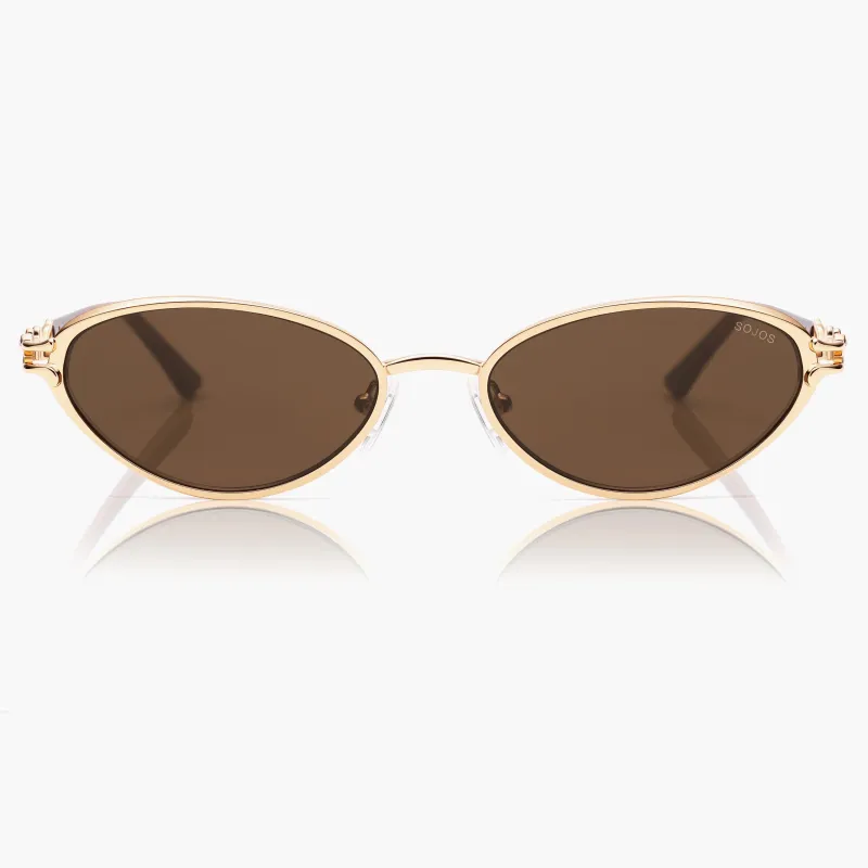 Staghorn Coral sold by Sojos