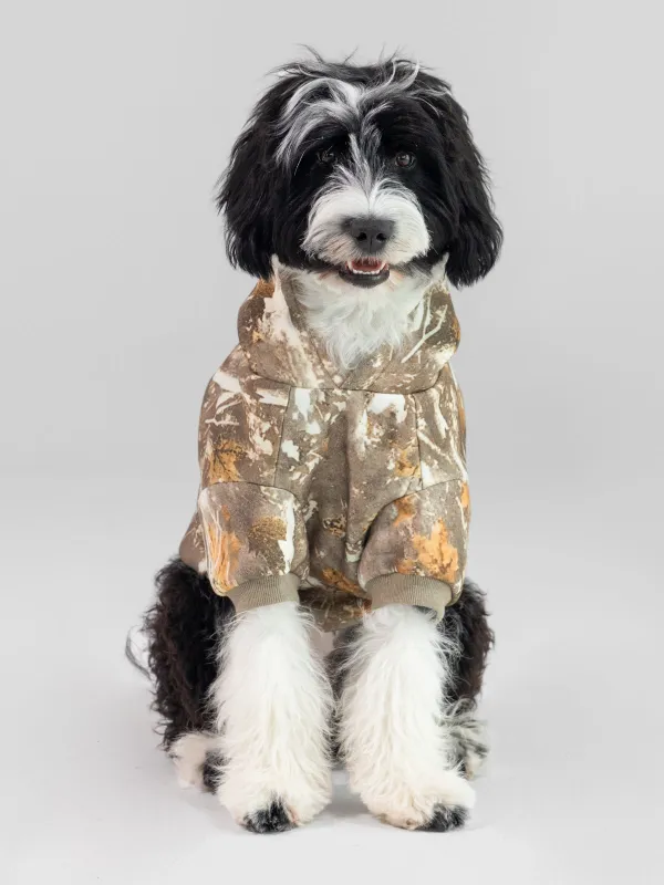 Camo Paw Hoodie sold by Comfrt