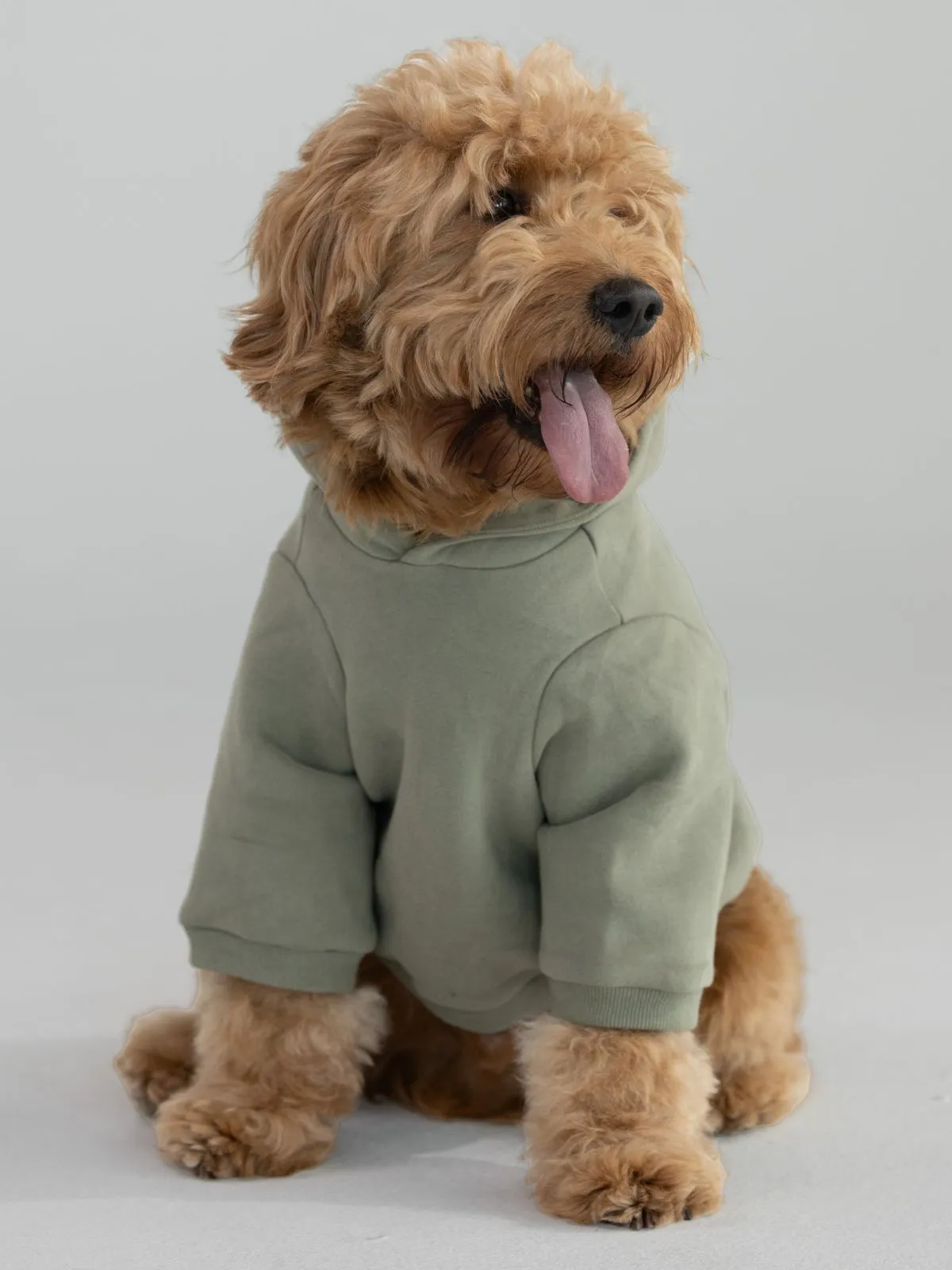 Coordinate Paw Hoodie sold by Comfrt product image thumbnail 5
