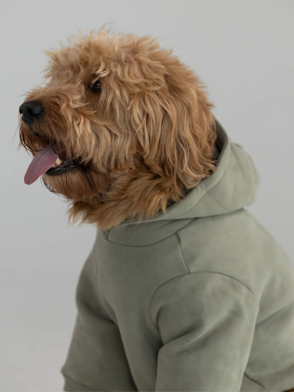 Coordinate Paw Hoodie sold by Comfrt product image thumbnail 3