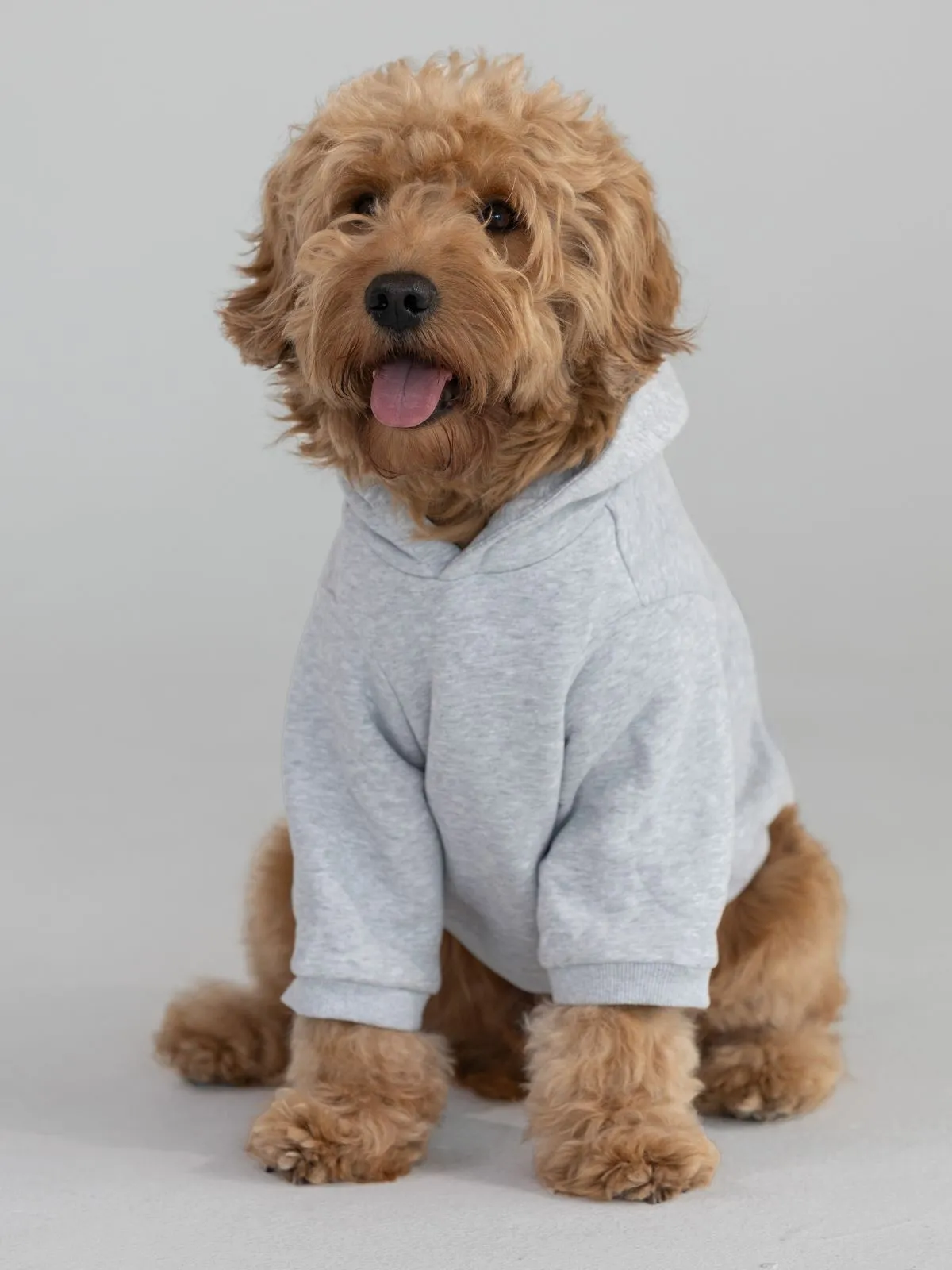 Coordinate Paw Hoodie sold by Comfrt product image thumbnail 2
