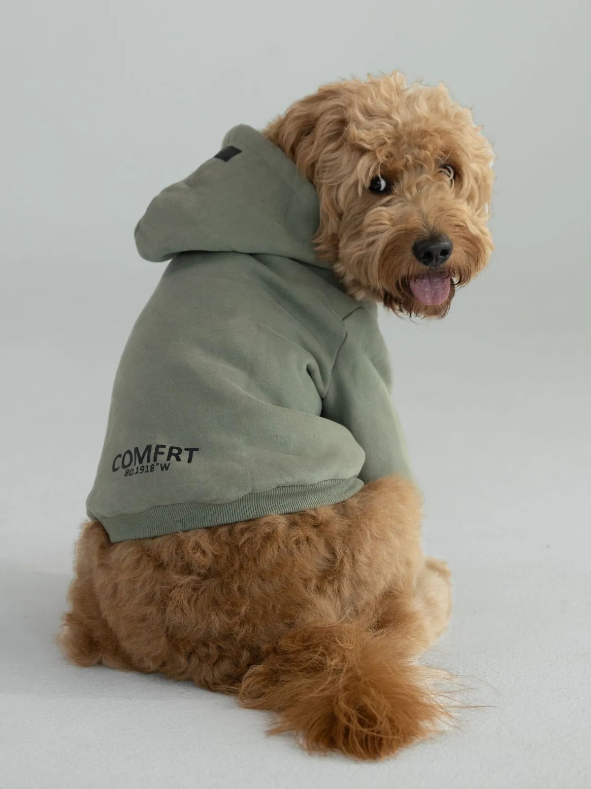 Coordinate Paw Hoodie sold by Comfrt product image thumbnail 4