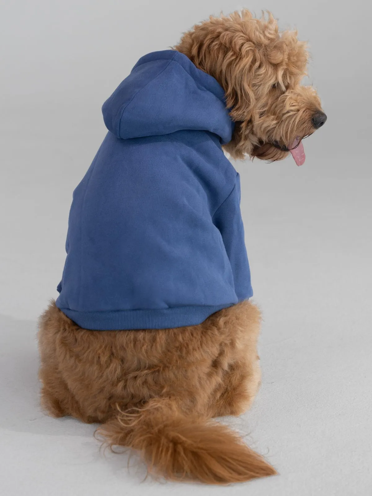 Standard Paw Hoodie - Pre-Order sold by Comfrt product image thumbnail 3