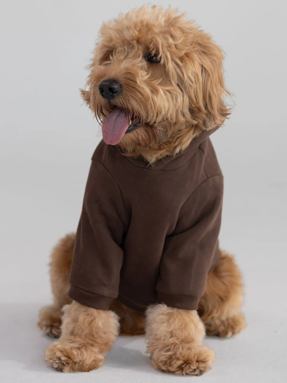 Standard Paw Hoodie - Pre-Order sold by Comfrt product image thumbnail 5