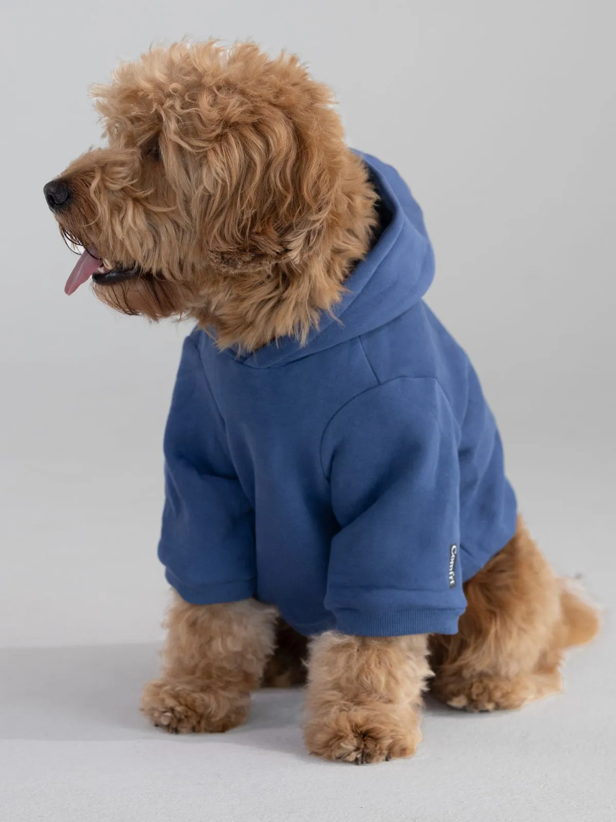 Standard Paw Hoodie - Pre-Order sold by Comfrt product image thumbnail 2