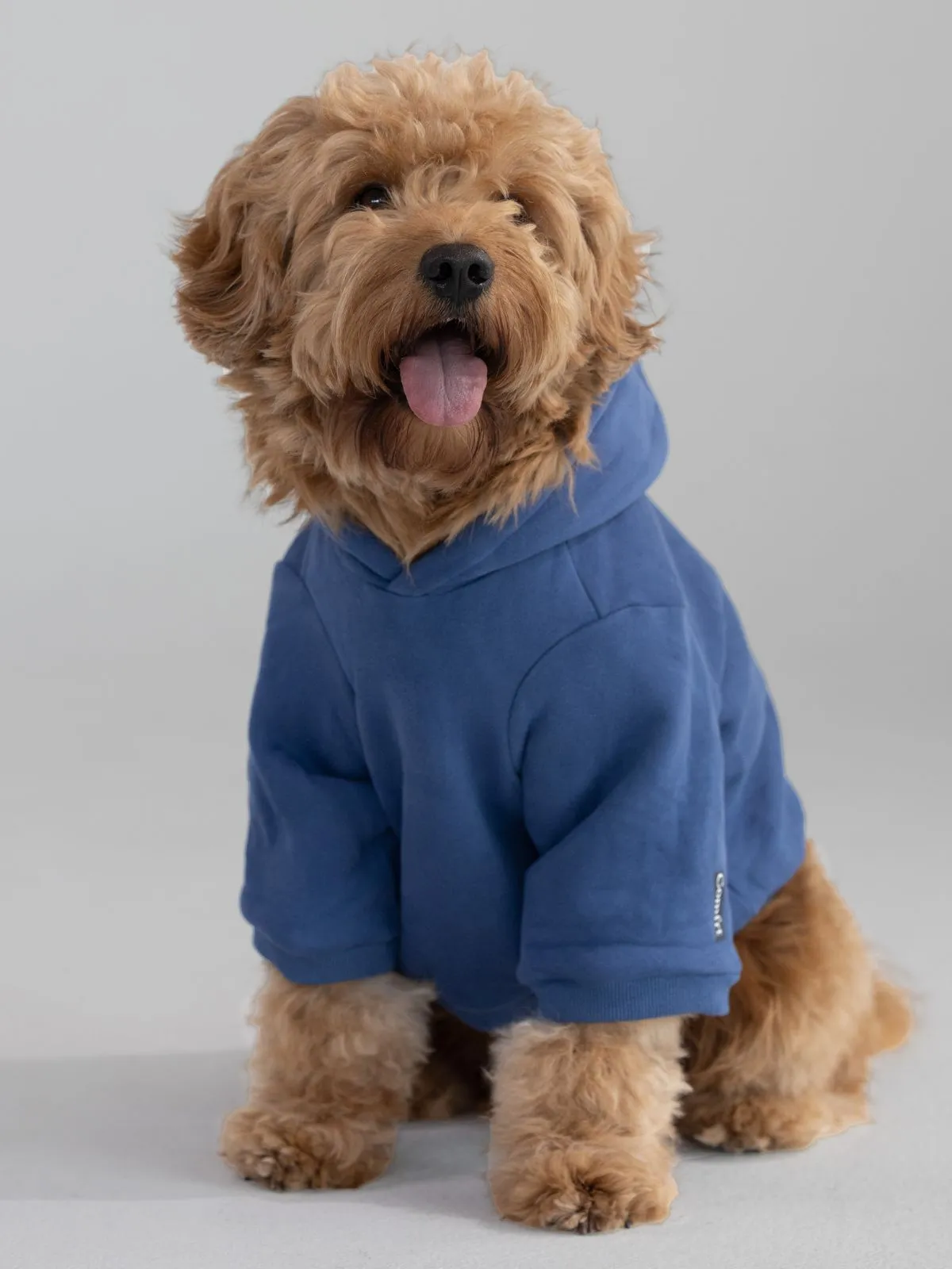 Standard Paw Hoodie - Pre-Order sold by Comfrt