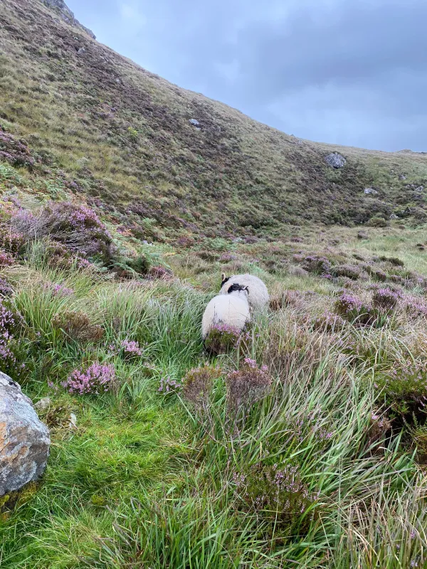 Strong Shirt in a Grey Recycled Structural Italian Cotton Flannel - Sample sold by Delikatessen