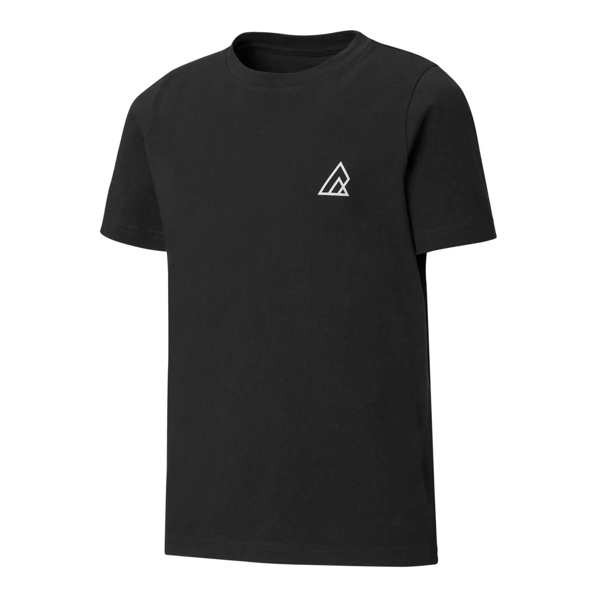 Ripzone Boys' Kingcome Short Sleeve T-Shirt - Black sold by Ripzone