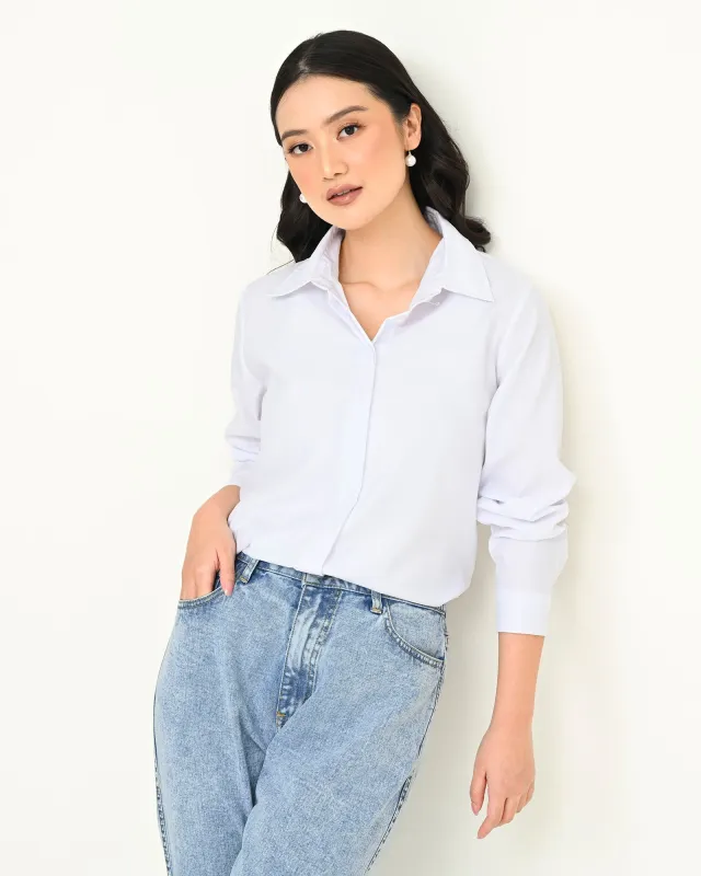 DAILY SHIRT BASIC SERIES sold by Geulis