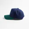 Winter Trio Snapback - Navy & Green sold by Far From Ordinary