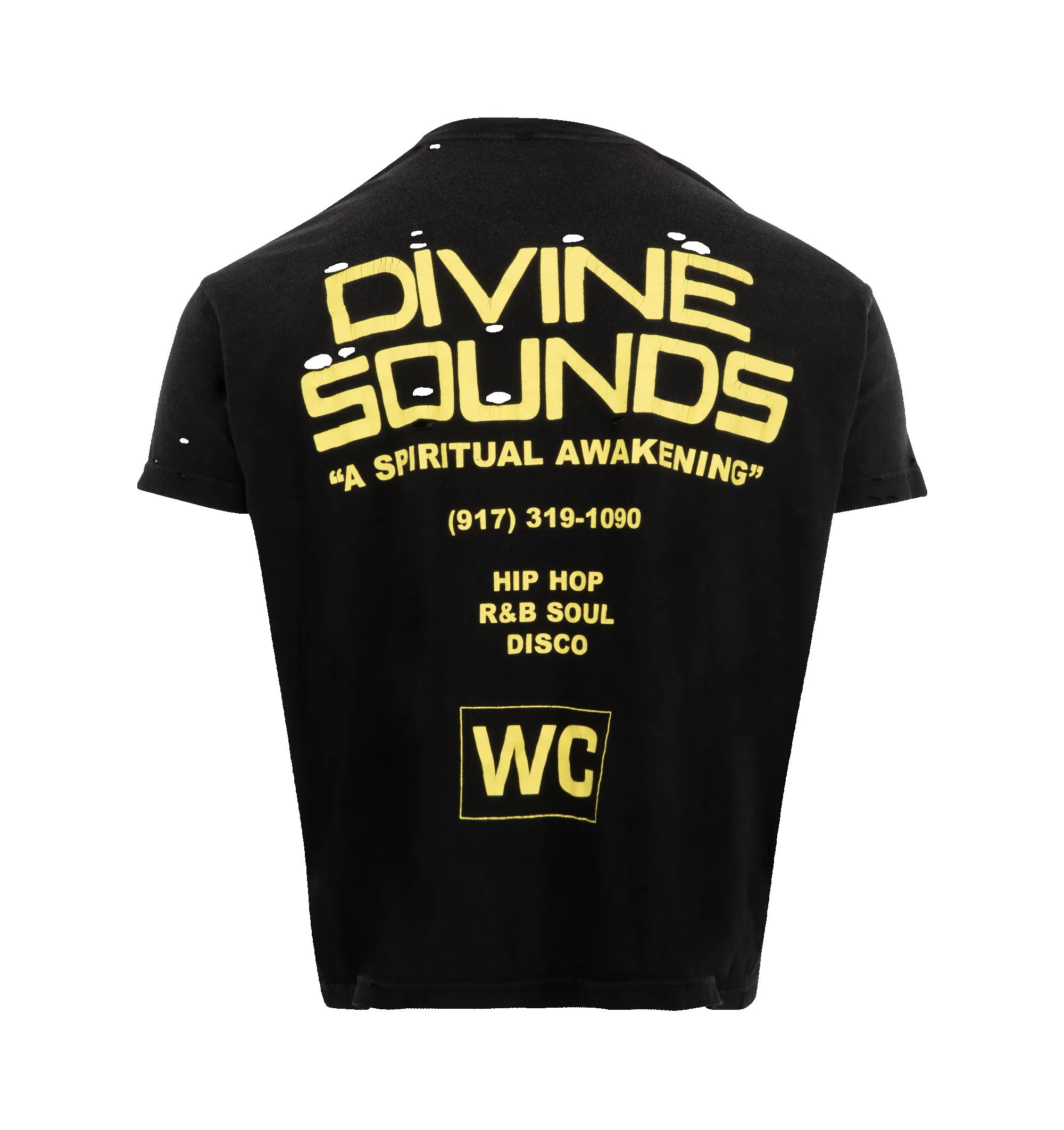 DIVINE SOUNDS DESTROYED EASY TEE (MENS) sold by Hirshleifers product image thumbnail 2
