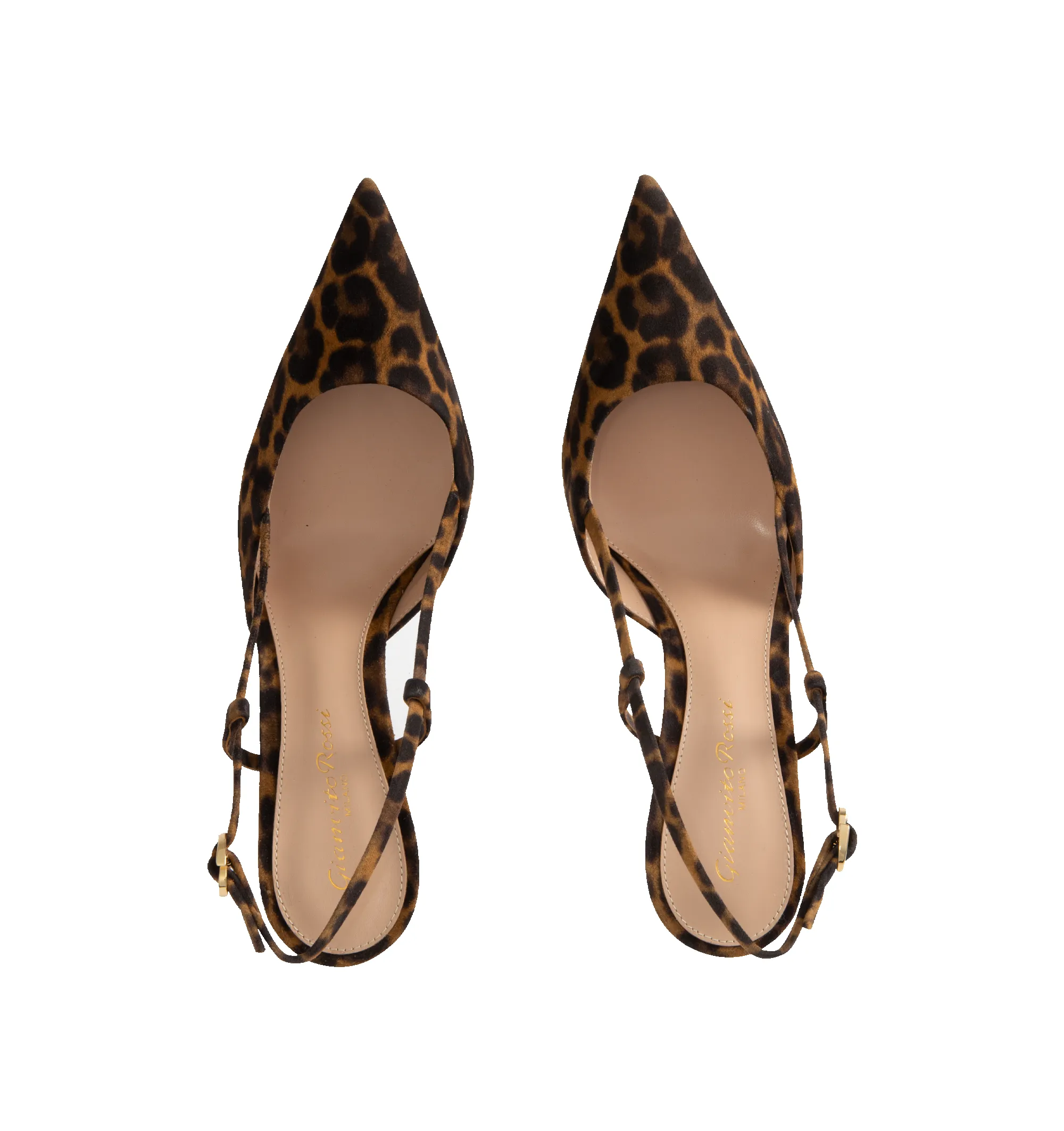 ASCENT LEOPARD PRINT SLINGBACKS (WOMENS) sold by Hirshleifers product image thumbnail 4
