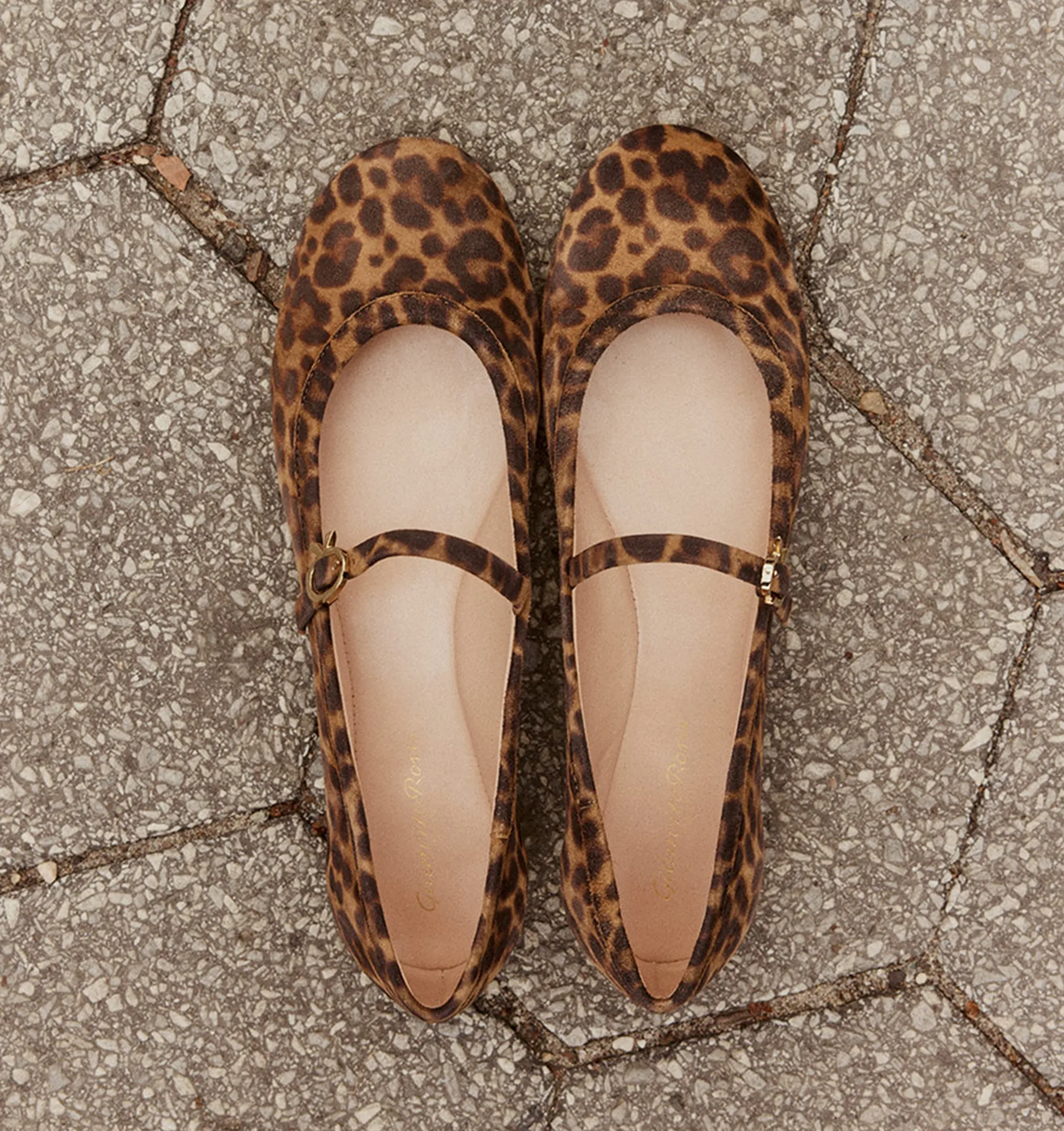 CARLA BALLERINA LEOPARD PRINT (WOMENS) sold by Hirshleifers product image thumbnail 2