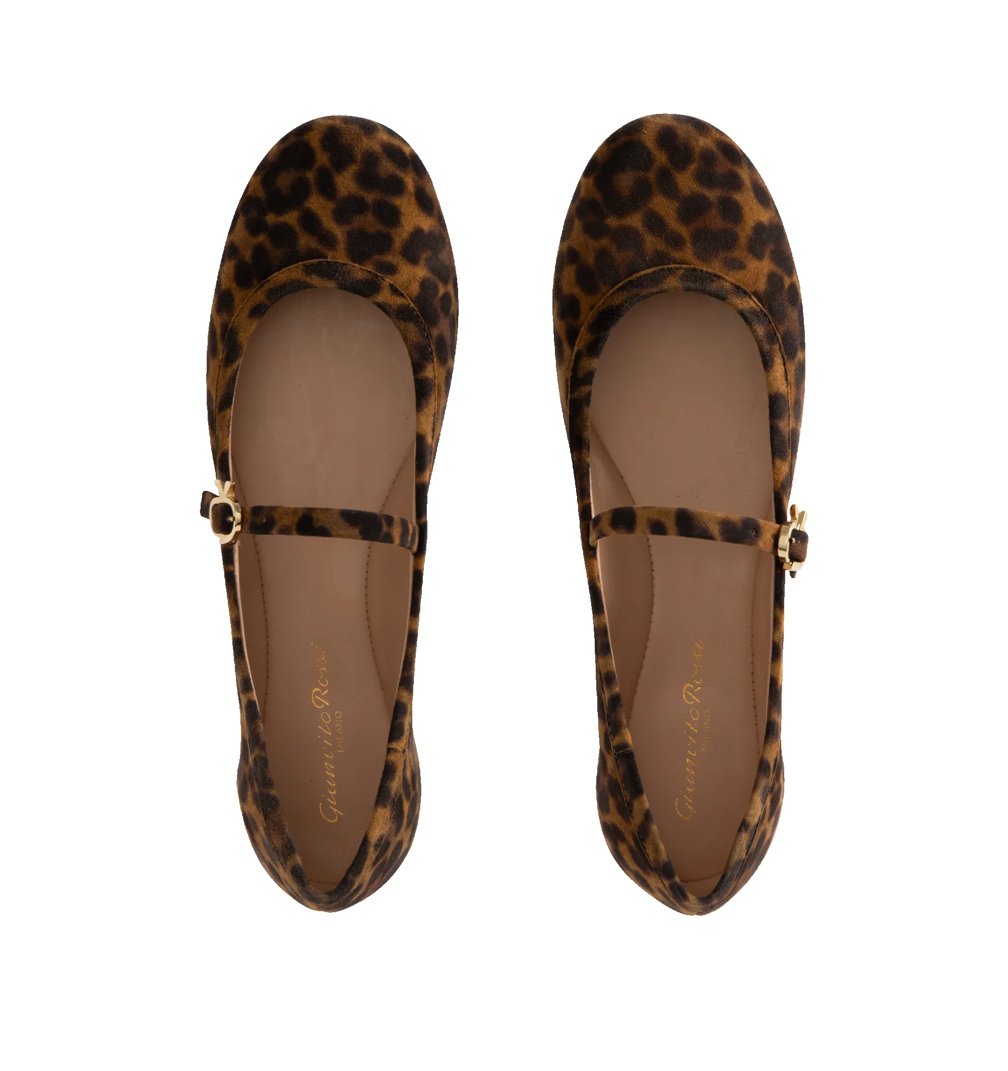 CARLA BALLERINA LEOPARD PRINT (WOMENS) sold by Hirshleifers product image thumbnail 5