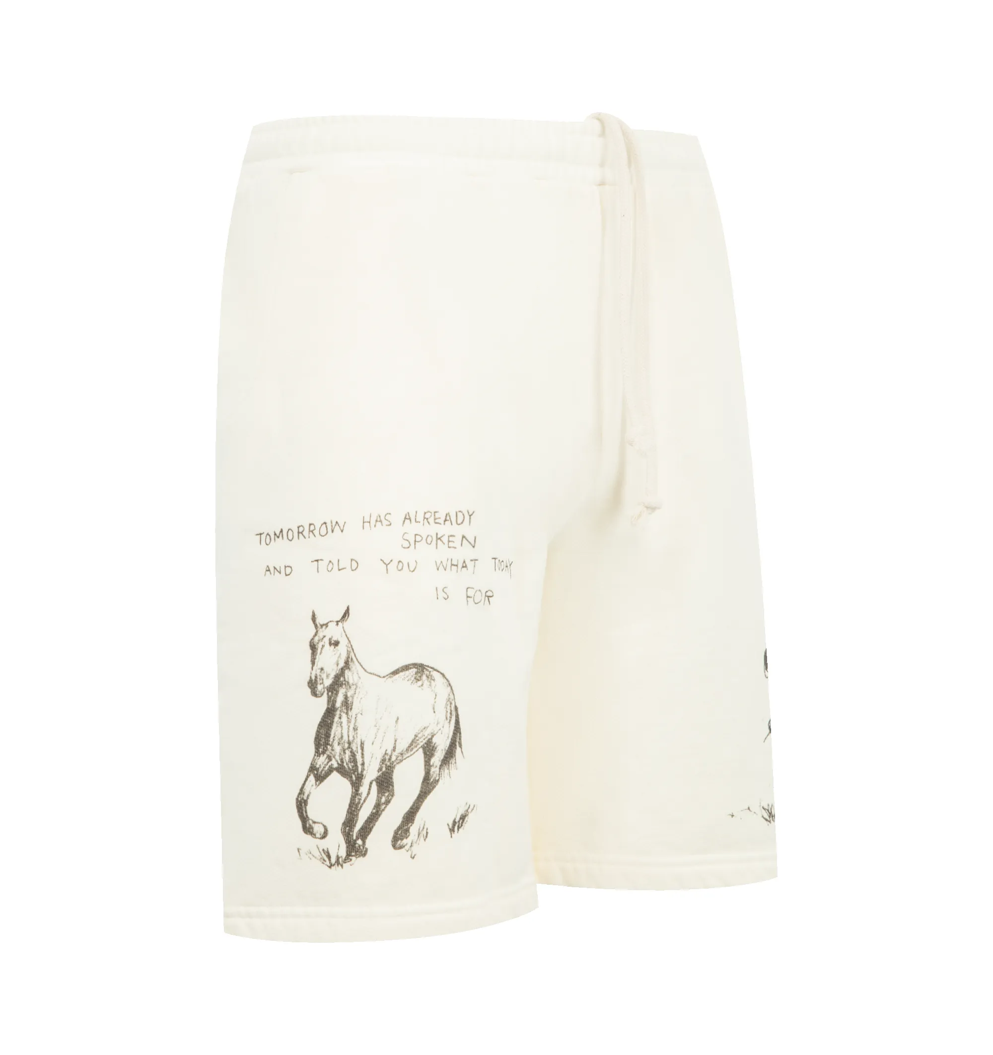 WHAT TODAY IS FOR SWEAT SHORTS (MENS) sold by Hirshleifers product image thumbnail 4