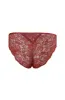 Alaia Full Lace Bikini _ 147011 _ Rust sold by Dunns