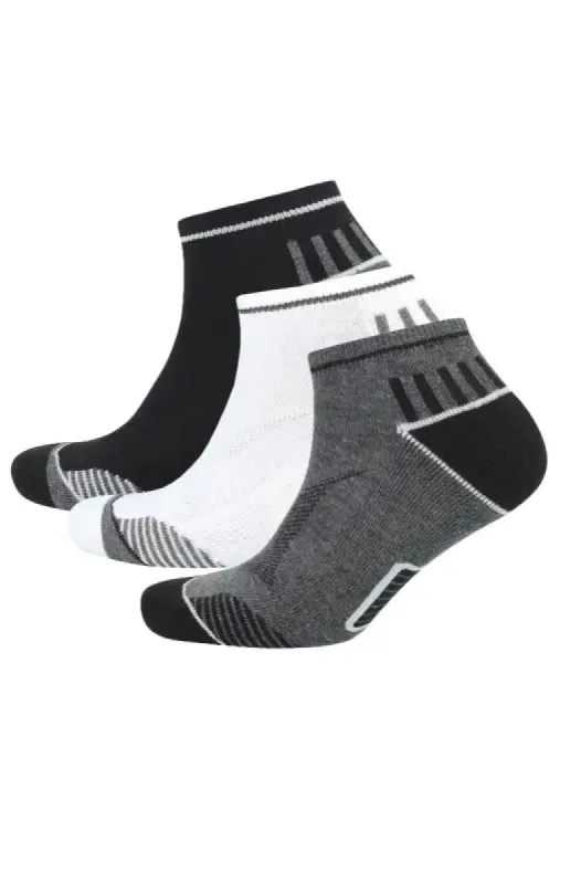 Carson Trainer Socks - 3 Pack _ 139772 _ Charcoal Mel sold by Dunns