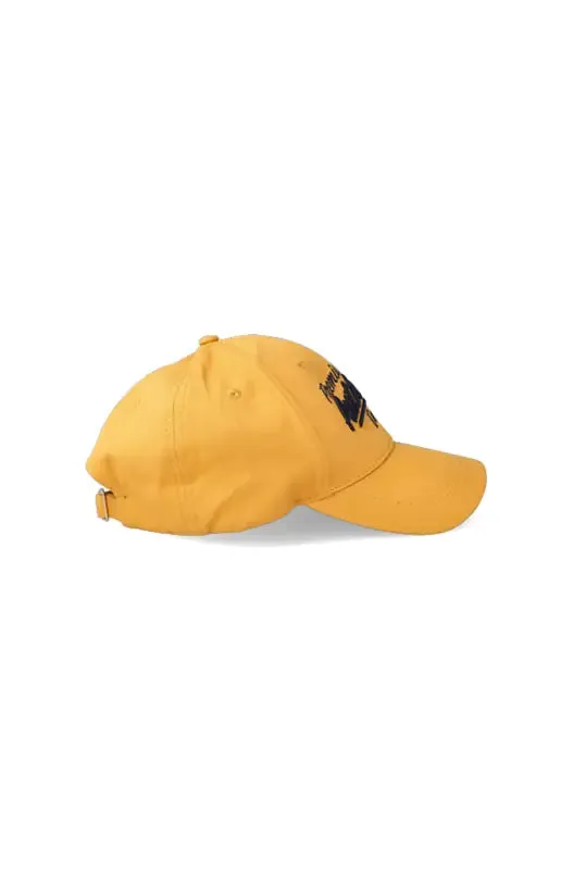 Glendale Peak Cap _ 141007 _ Mustard sold by Dunns product image thumbnail 2
