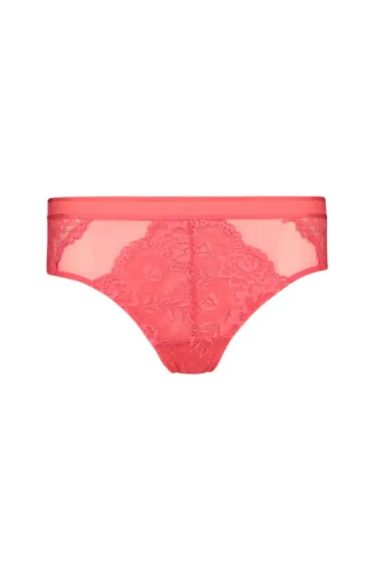Velda Lace Brief _ 143059 _ Coral sold by Dunns