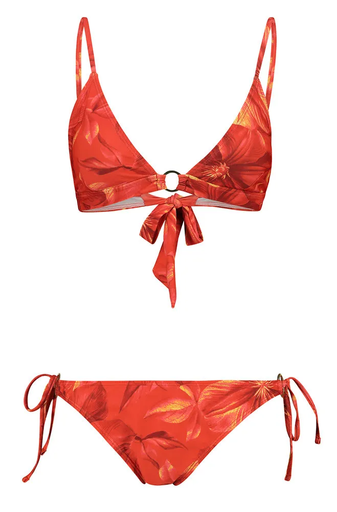 MALIBU PRINTED BIKINI TOP _ 155863 _ Red sold by Dunns product image thumbnail 5