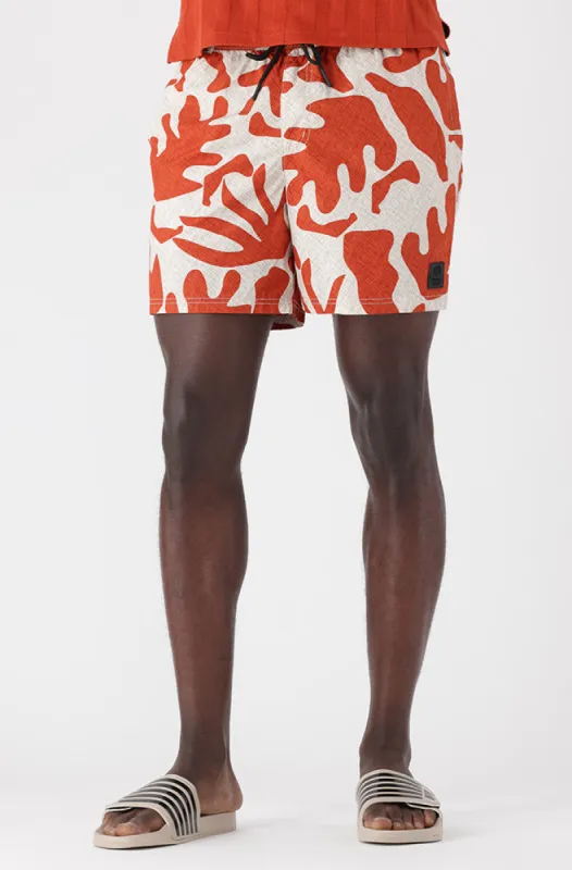 O'Connell Pool Short _ 153711 _ Multi sold by Dunns