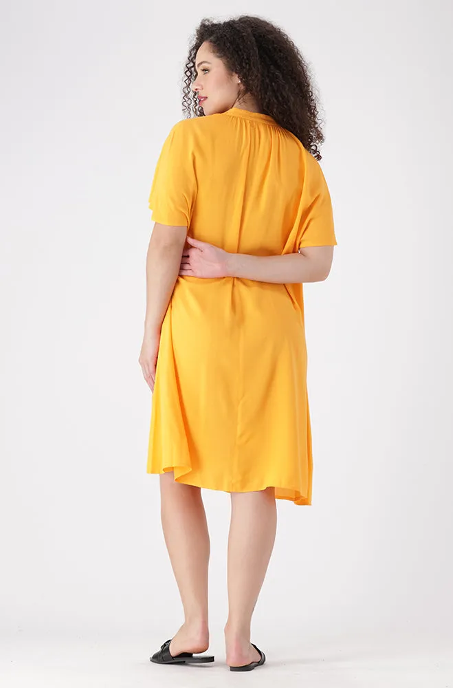 Carla Tie Neck Detail Dress _ 155345 _ Yellow sold by Dunns product image thumbnail 5