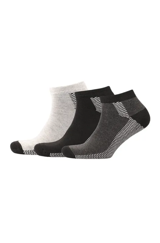 Rey Trainer Socks 3pk _ 155900 _ Black sold by Dunns