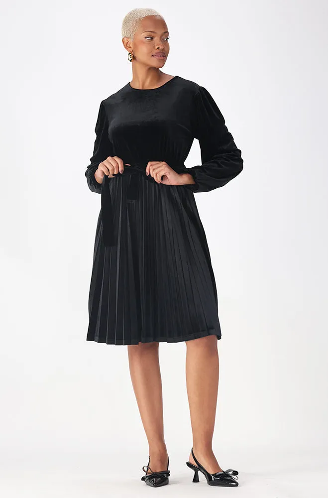 ROSE PLEATED VELOUR DRESS sold by Dunns product image thumbnail 4